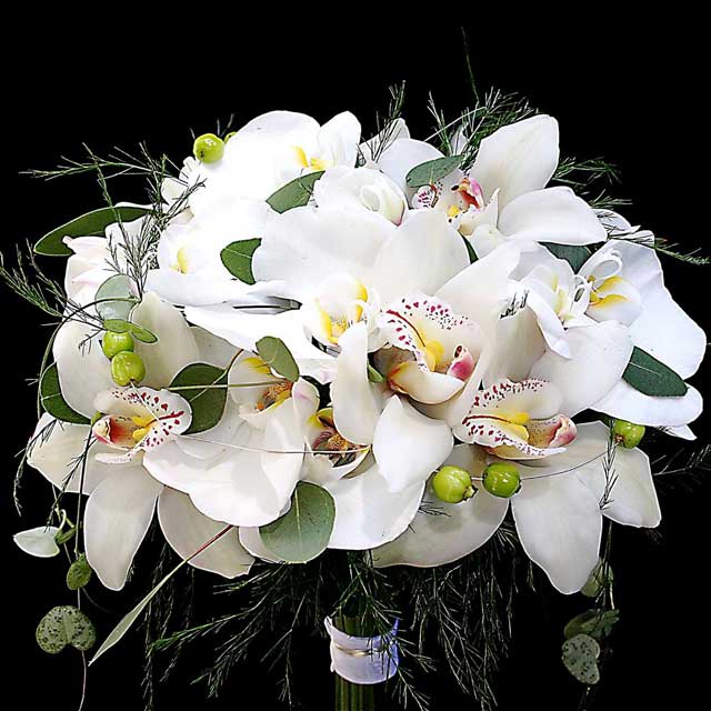 Significado de regalar una orquídea blanca