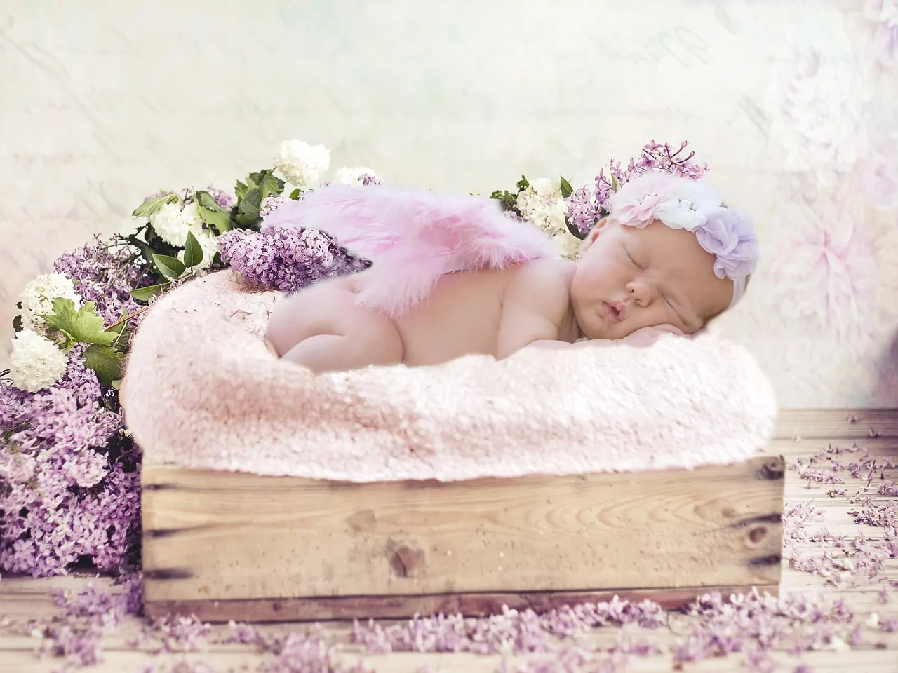 8 flores ideales que regalar en nacimientos