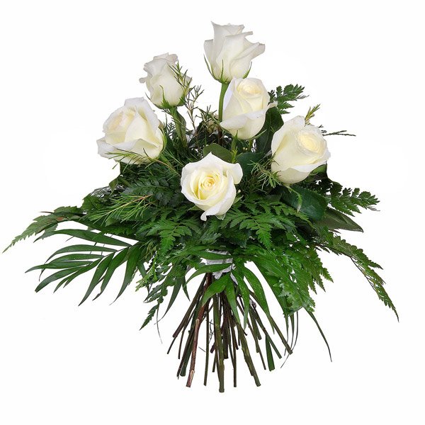 Grillo dólar estadounidense Omitido Ramo de 6 rosas blancas pureza - Regalarflores.net