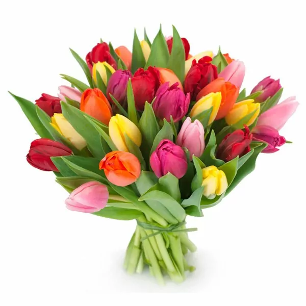 Ramo de tulipanes