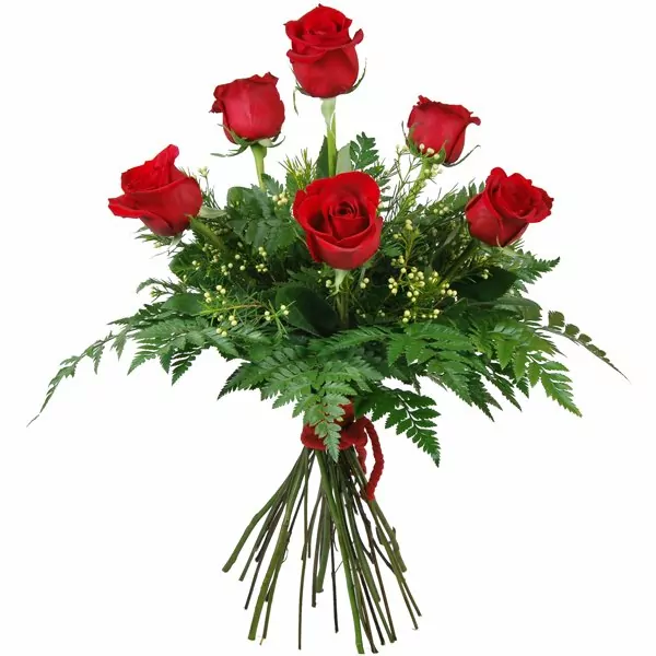 Ramo de 6 rosas rojas - Regalarflores.net